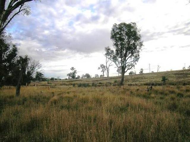 1601 Dog Trap Road