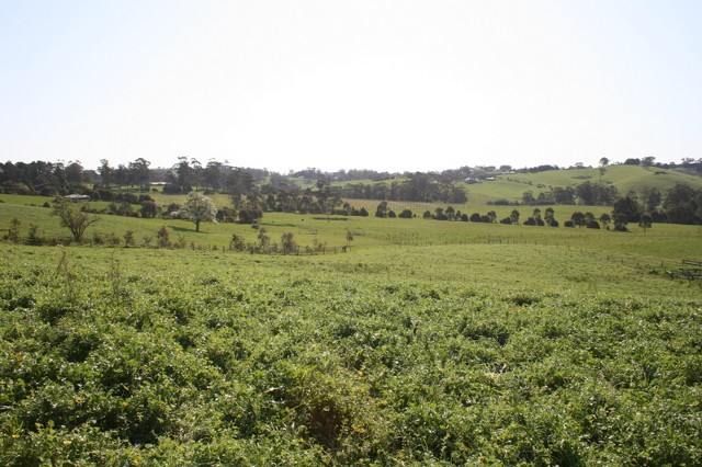 Stevens Road