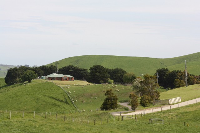 325 Buchanans Road