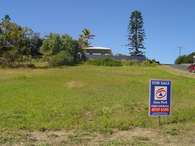 11 Larnach Street