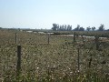 Airly Road