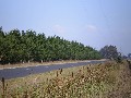 Airly Road