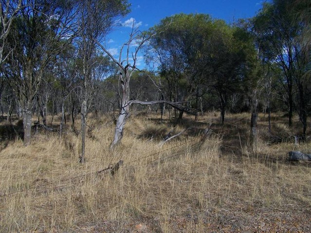 Lot 107 York/Quairading Hwy