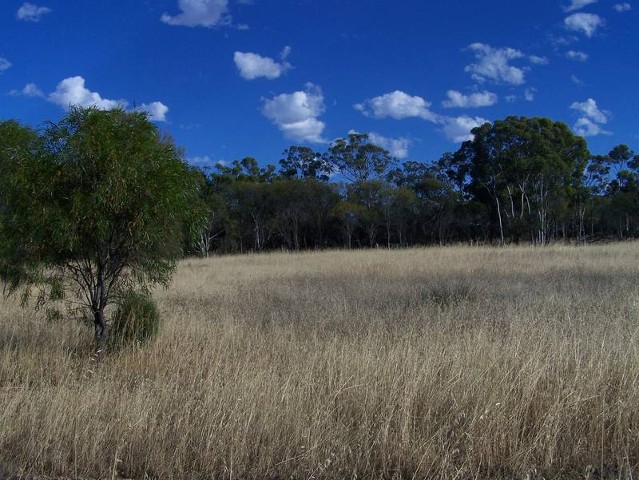 Lot 105 York/ Quairading Hwy