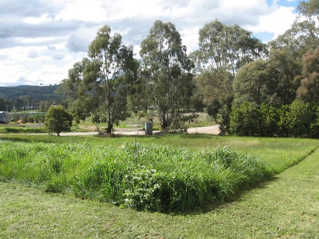 1 Wattleview Court