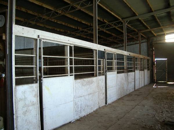 HORSES PARADISE ON 80 ACRES Picture 2