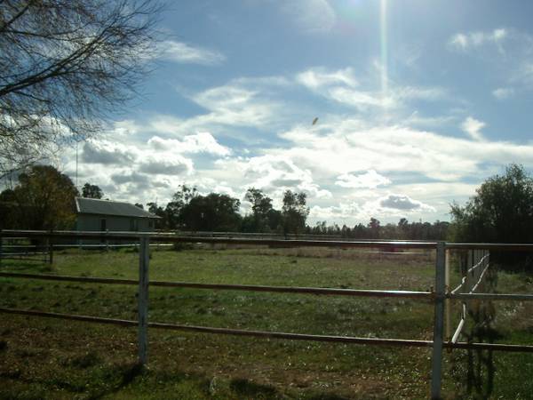 HORSES PARADISE ON 80 ACRES Picture 3