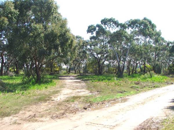 Industrial 3 - 0.9 acre (3753m2) Picture 3