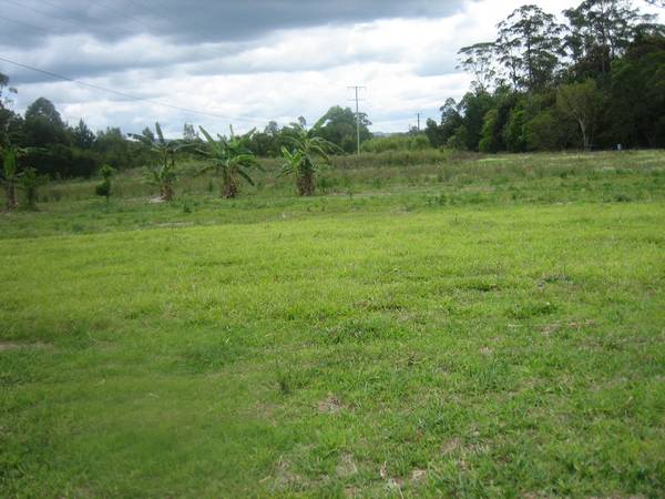 16 ACRES - 3 MINUTES FROM FOREST GLEN Picture 2