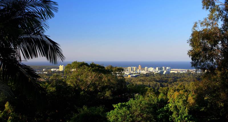 Over 1/4 acre on the NE Escarpment of Buderim with Stunning Ocean Views Picture 1