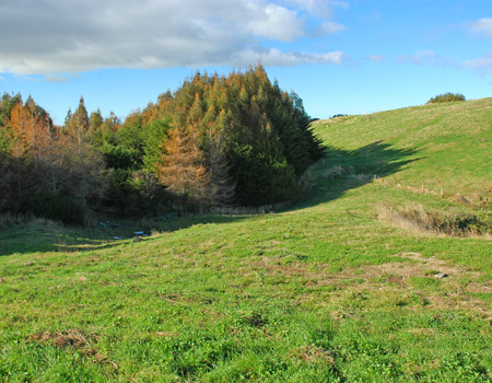 LochViews - Acacia Bay! Picture 2