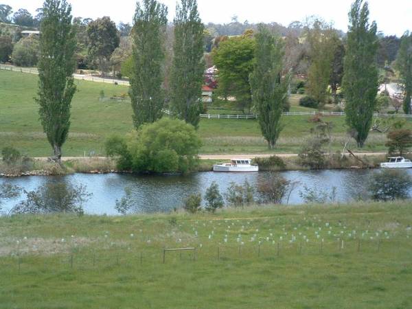 TAMBO RIVER FRONTAGE Picture 2