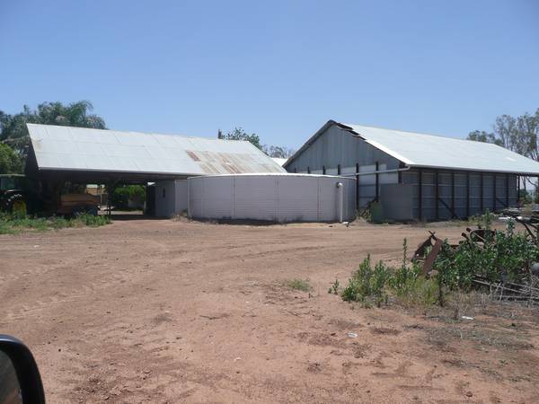 Yenda Vineyard Picture 1