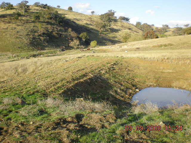 Lot 104 Bunyarra Lane, Borenore Picture 1