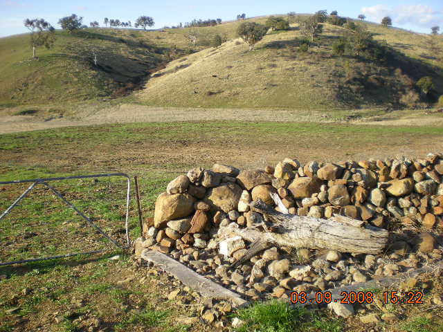 Lot 104 Bunyarra Lane, Borenore Picture 2