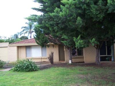 NEAT & TIDY HOUSE Picture