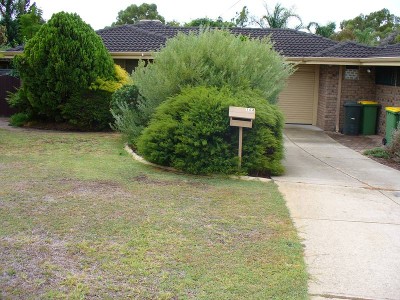 NEAT & TIDY DUPLEX Picture