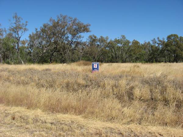 Vacant Land - Condamine Picture 3