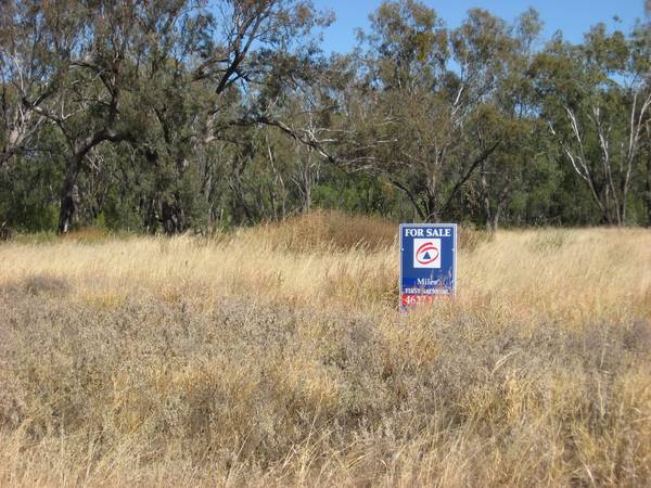 Vacant Land - Condamine Picture 2