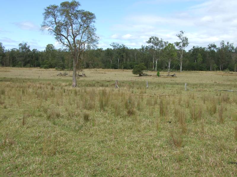 730 acres Grazing Country Picture 2