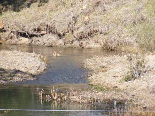 Acres Near Armidale Picture 1