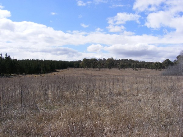 Acres Near Armidale Picture 2