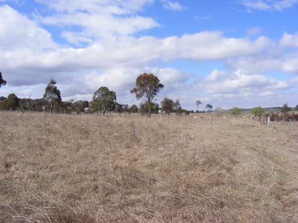 Acres Near Armidale Picture 3