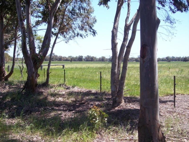 VACANT LAND - PINJARRA EAST Picture 2