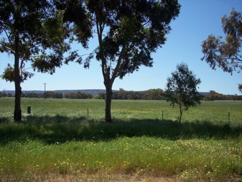 VACANT LAND - PINJARRA EAST Picture 3