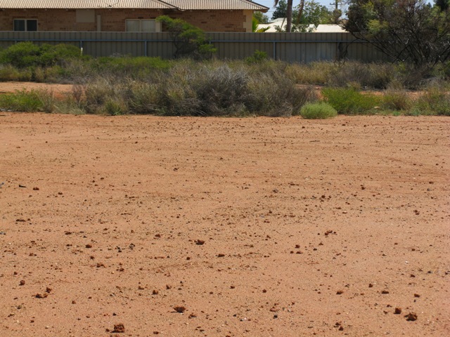 OWN A PART OF SOUTH HEDLAND Picture 2